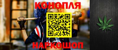 стафф Бийск
