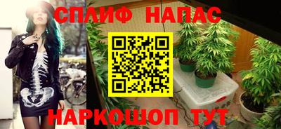 стафф Бийск