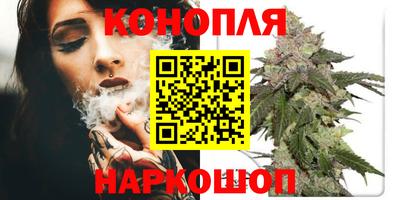 стафф Бийск