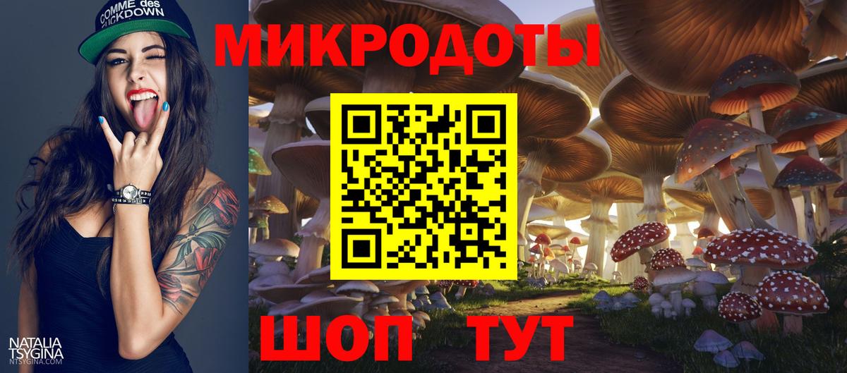 Галлюциногенные грибы Psilocybine cubensis  Вход с VPN  Канаш 