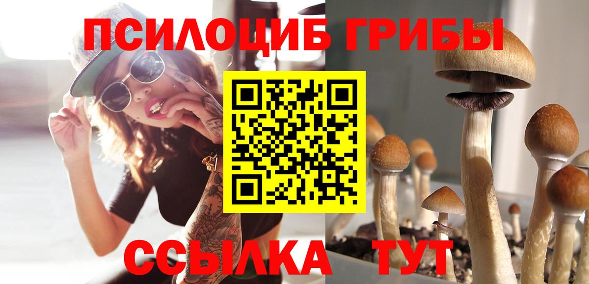 Галлюциногенные грибы Magic Shrooms Канаш